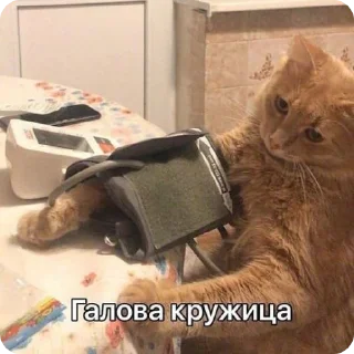 🤒