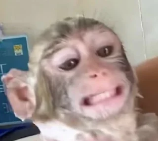 😁