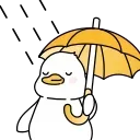 ☔️