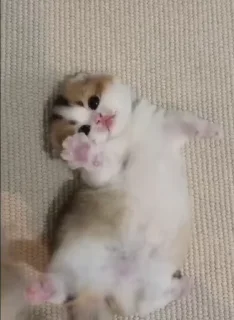 🥱