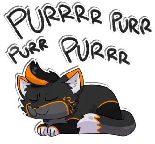 🐱
