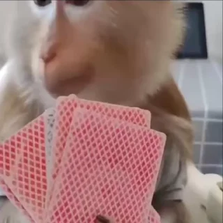 🌟