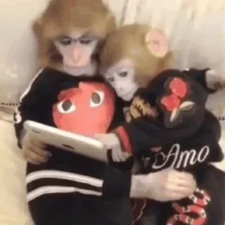 ❤️