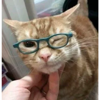 🤓