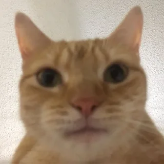 😐