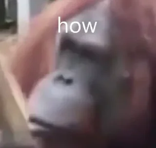 🤨