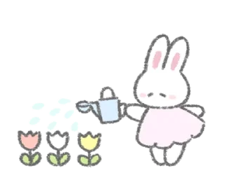 🐰