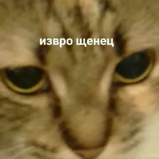 😳