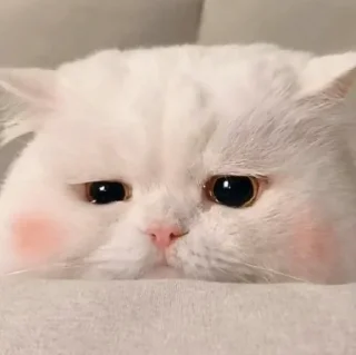 😒