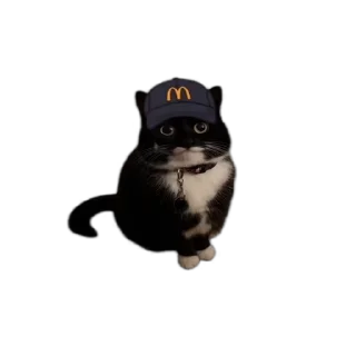 🍟