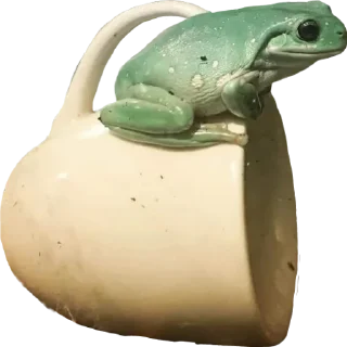 ☕️