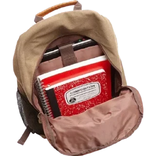 🎒