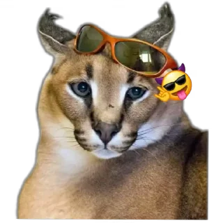 😎