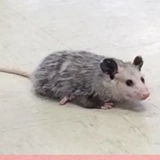 😶