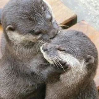 😚