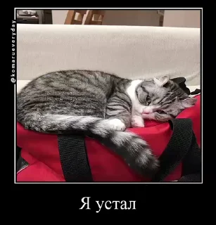 😪