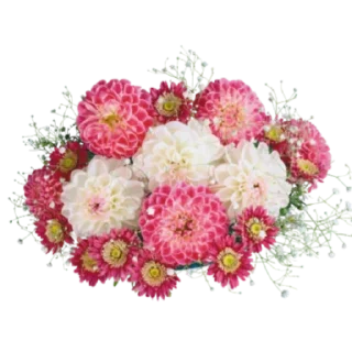 💐
