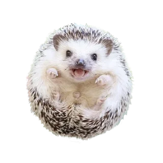 😁