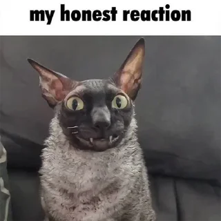 😵‍💫