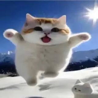 😆
