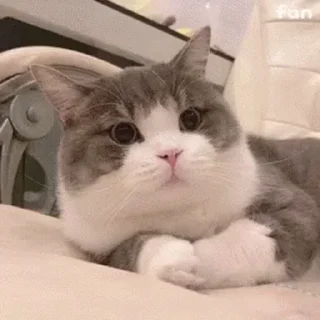 🚼