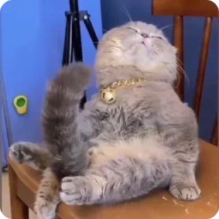 💪