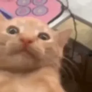 🤕