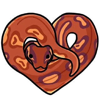 🐍