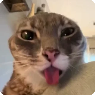 🛸