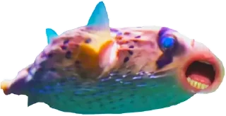 🐠