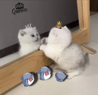 👑