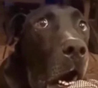 😳