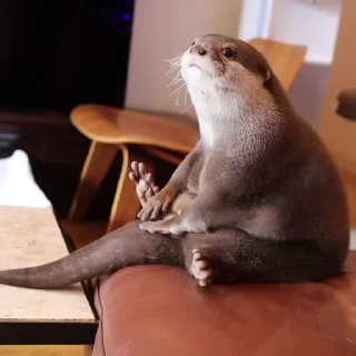 😍