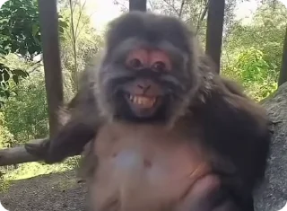 😁