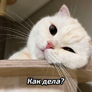 ☺️