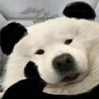 😂