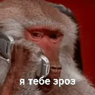 😶