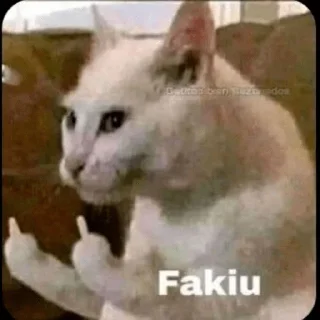 🖕
