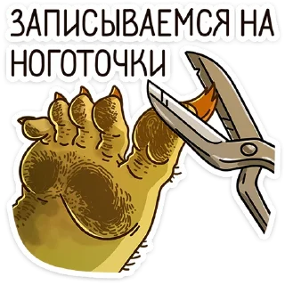 💅
