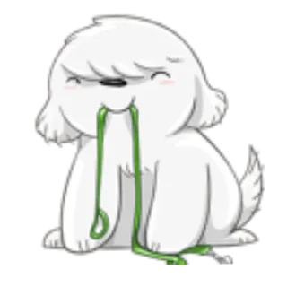 beloni