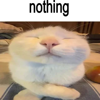 🐈