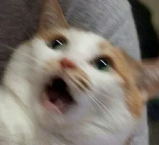 😨