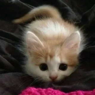 👀