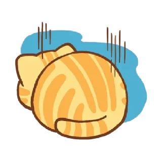 🐱