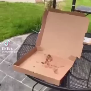 🍕