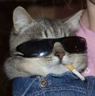 🚬