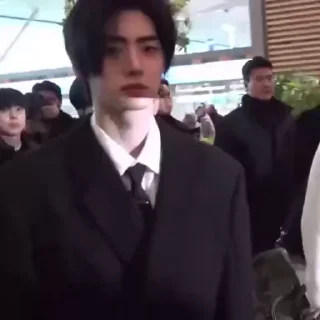 🌟