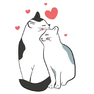 🐱
