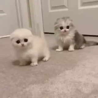 🙃