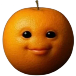 🍊